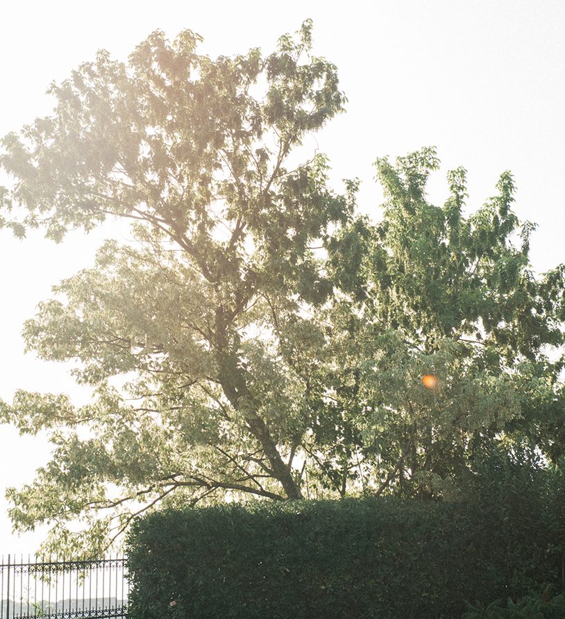 IP_Studio_InTheShade_220723_0033_home